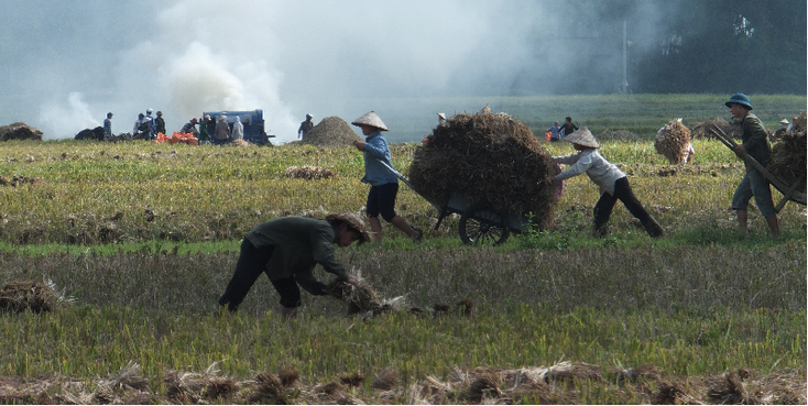 Mai-Chau-hooi-bergen-bos-rijstveld-Vietnam