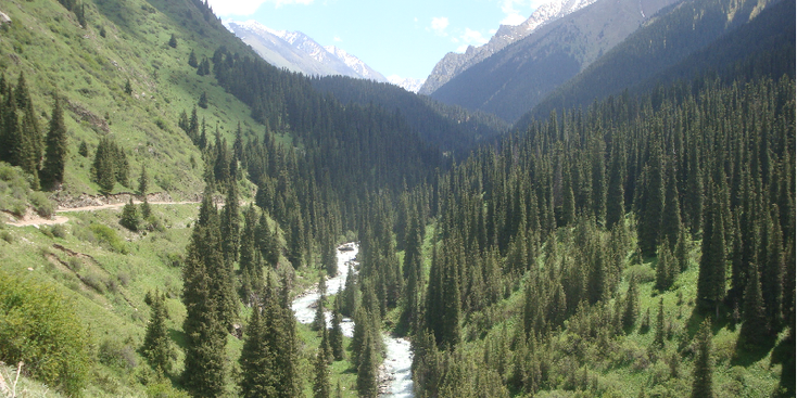 Altyn-Arashan-naaldbos-vallei-rivier-alpenweiden-Kirgizië