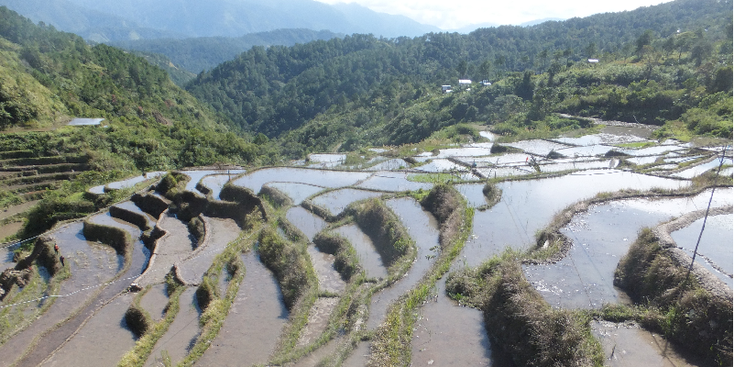 Batad-Bontoc-Banaue-rijstterras-rijstveld-Filipijnen