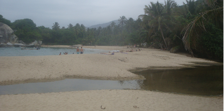 Tayrona-Nationaal-Park-Coast-Colombia-jungle-rivier