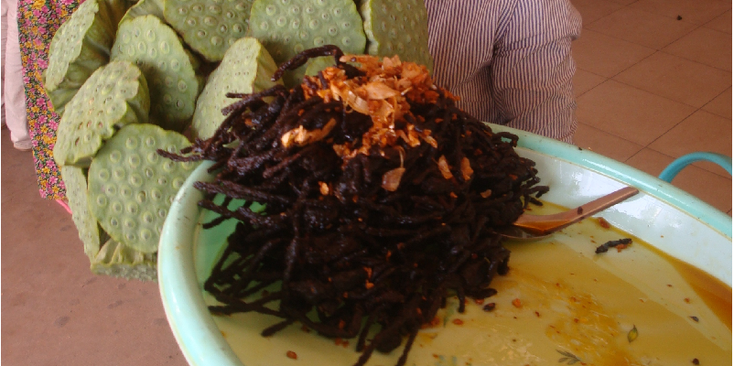 Skuon-spinnen-Cambodja-eten