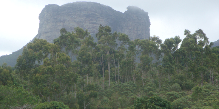 Diamantina-Nationaal-Park-Da-Chapada-Brazilie-Poco-de-Diablo