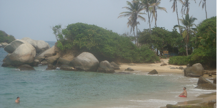Tayrona-Nationaal-Park-Coast-baai-palmboom-strand-rots