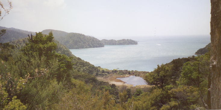 Abel-Tasman-Nationaal-Park-baai-Nieuw-Zeeland