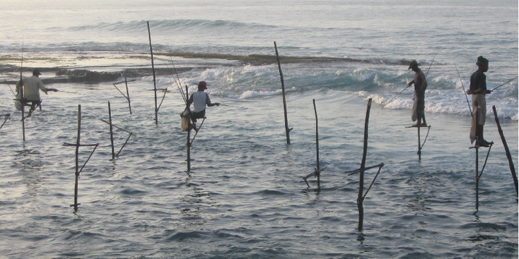 Paalvissers-Koggala-Sri-Lanka