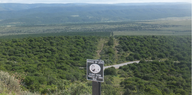 Addo-National-Park-South-Africa