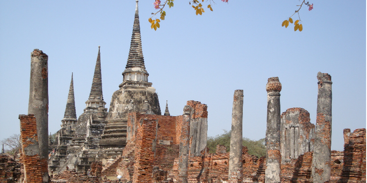 Ayuttayah-tempel-park-historisch-Boeddha-beeld-in-boom-Thailand