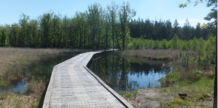 Westerbork-wandelpad-vlonder-Nederland