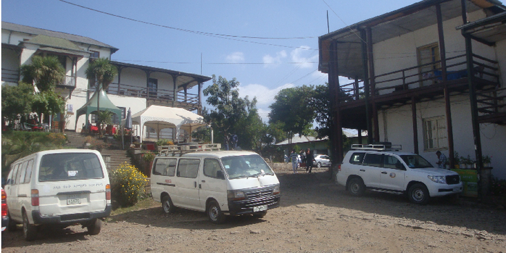 Taitu-hotel-Addis-Ababa-tuin-busjes-Ethiopië