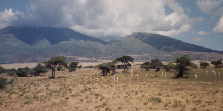 Serengeti-Tanzania-Nationaal-park-vlaktes-migratie