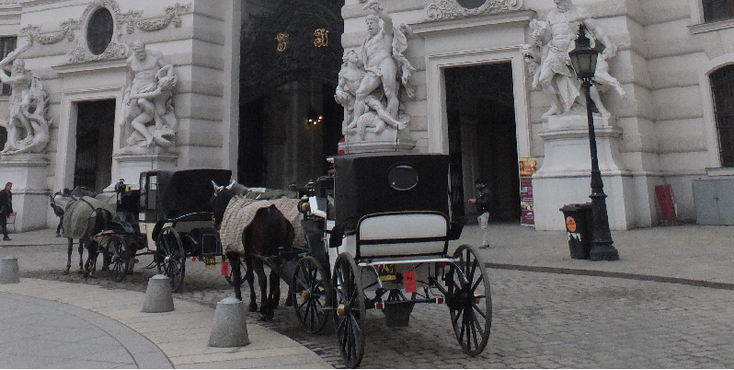 Wenen-paard-en-wagen-Oostenrijk