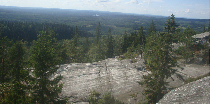 Koli-nationaal-park-Ukko-Koli-bossen-Finland