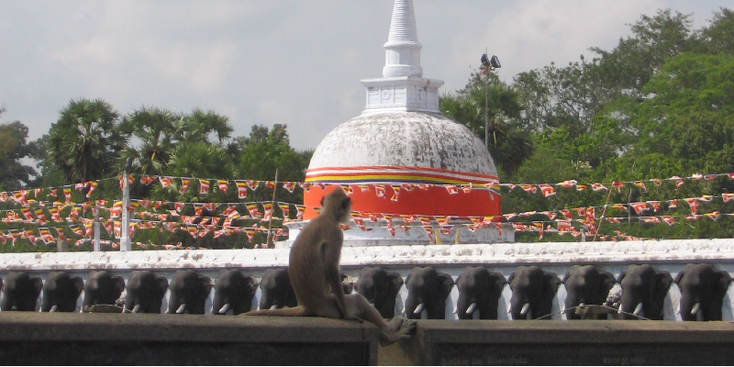 Anuradhapura-stoepa-tempel-Koninkrijk-Sri-Lanka