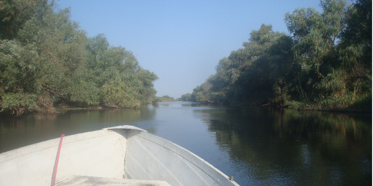 Donau-Delta-rivier-Crisan-rivier-kanalen-meren-Roemenië