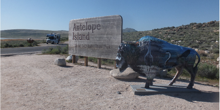 Antelope-Island-nationaal-park-bizon-beeld-Utah-Verenigde-Staten