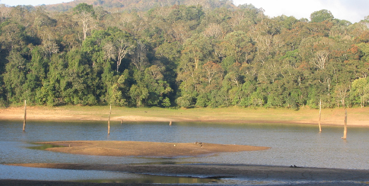 Periya-National-Park-Kumily-India-River-Jungle