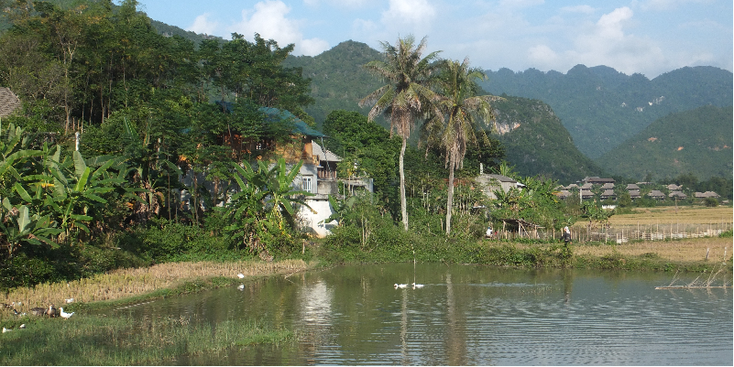 Mai-Chau-meer-vijver-houten-huizen-op-palen-bergen-bos-rijstveld-Vietnam