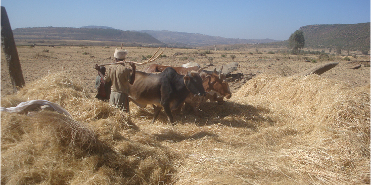 Axum-os-hooi-platteland-Ethiopië