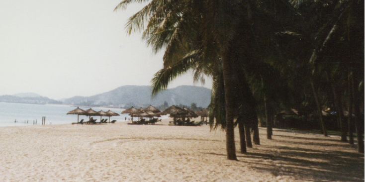Na-Thrang-strand-palmboom-zee-zon-Vietnam