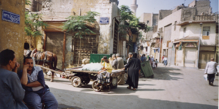 Cairo-kar-paard-straatleven-Egypte