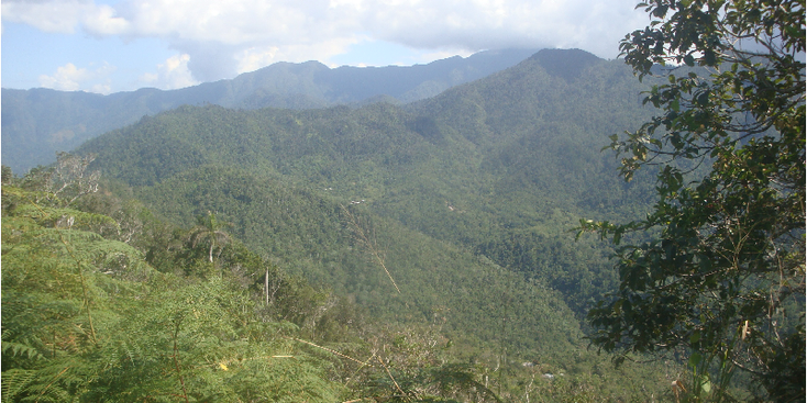 Sierra-Maestra-National-Park-Fidel-Castro-Revolution-Hideout-Hut-Straw-Cabin