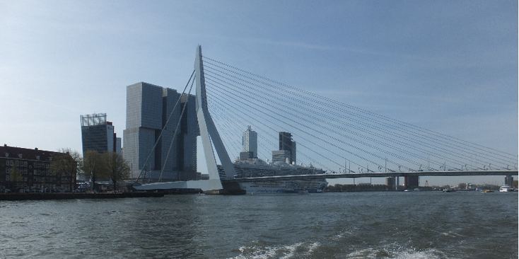 Erasmusbrug-Rotterdam-Maas-Nieuwe-Nederland