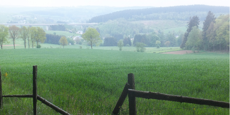 Sankt-Sainkt-Vith-weiland-rollende-heuvels-België