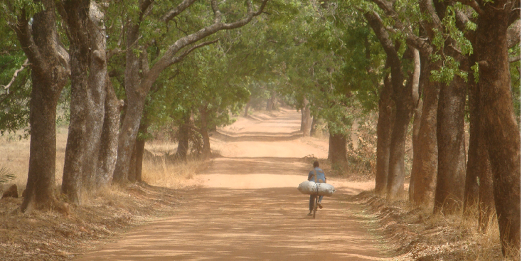 Banfora-zandweg-fiets-bomen-Burkina-Faso