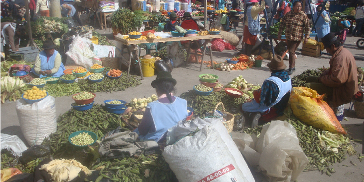 Saquisili-markt-inheems-hoed-groente-Ecuador