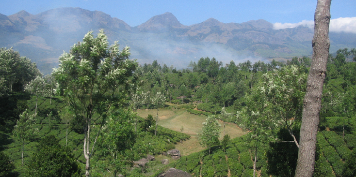 Periya-National-Park-Kumily-India-River-Jungle