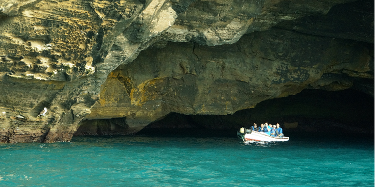 Galapagos-vogels-leguanen-grot-boot-Ecuador