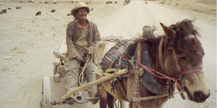 Tibet-paard-en-wagen-ezel-muilezel-platteland-stoffige-wegen-China