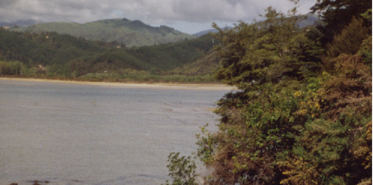Abel-Tasman-Nationaal-Park-baai-Nieuw-Zeeland