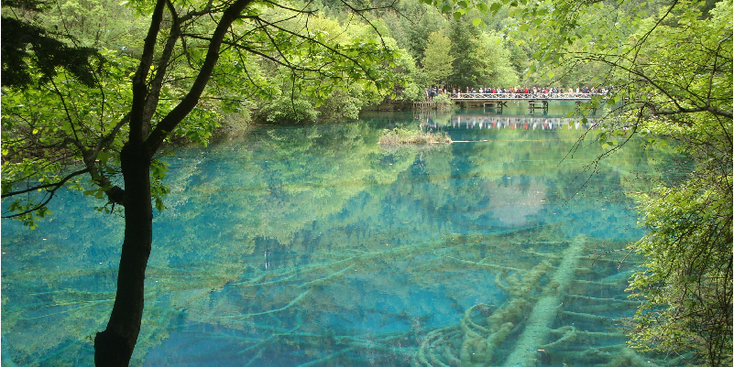 Jiuzhaigou-Nationaal-Park-Minerals-Bamboe-China