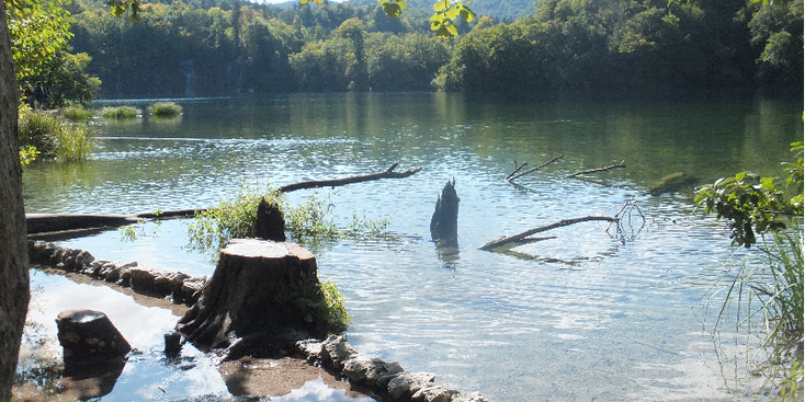 Plitvice-nationaal-park-meer-Kroatië