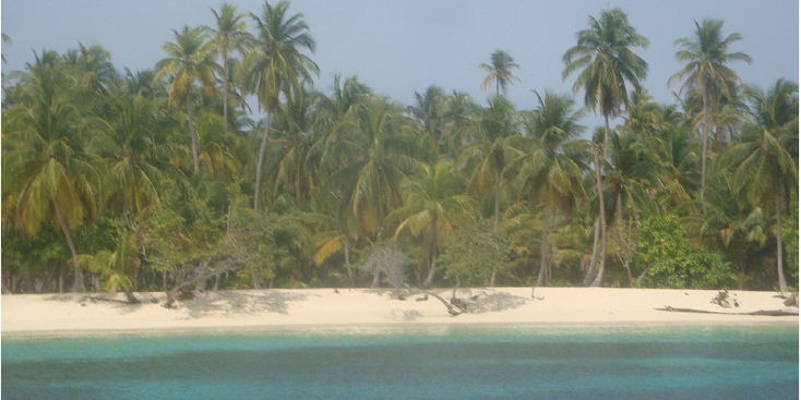 San-Blas-eilanden-bounty-zon-zee-strand-palmbomen-Panama