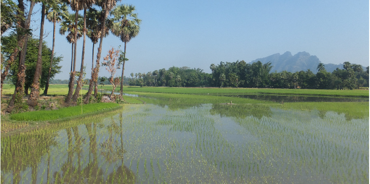 Hpa-An-rijstvelden-bergen-Myanmar