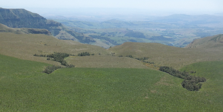 Drakensbergen-Dragon-Mountains-National-Park-South-Africa