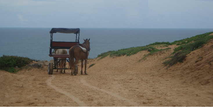 Jericoacoara-duinen-paard-strand-Brazilië