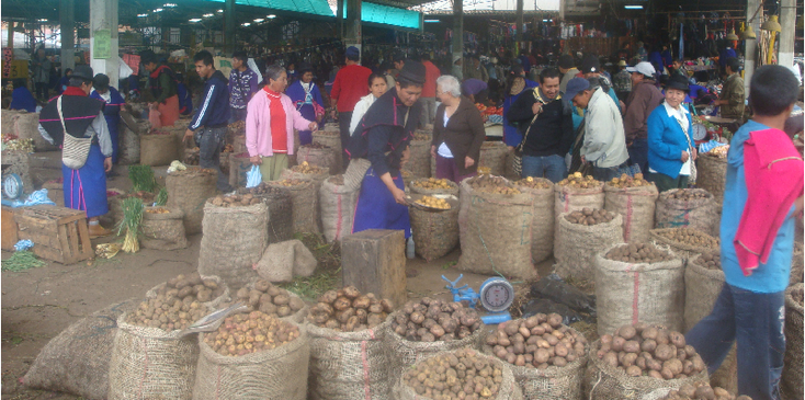 Silvia-Colombia-stam-inheems-traditioneel-kledij-bolhoed-markt-Guambiano-indianen-aardappelen