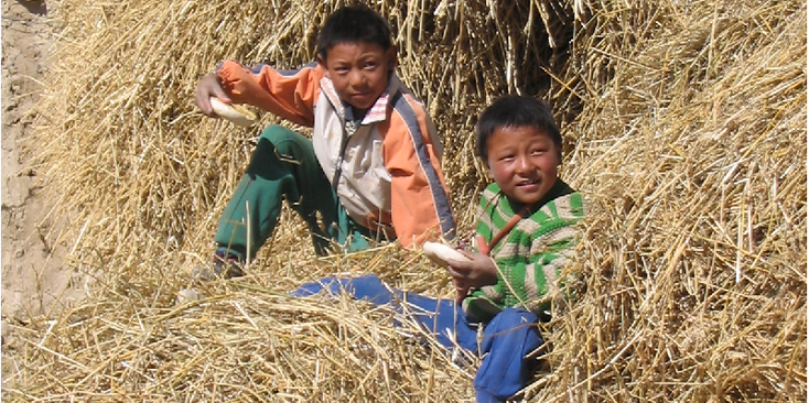 Tibet-lokaal-hooi-China