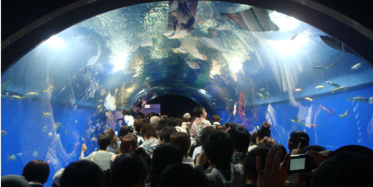 Osaka-zee-aquarium-Japan