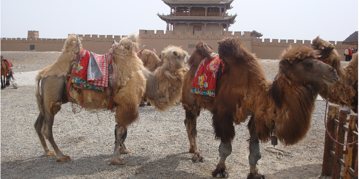 Jiayuguan-Great-Chinese-Wall-China-Camel-Fort