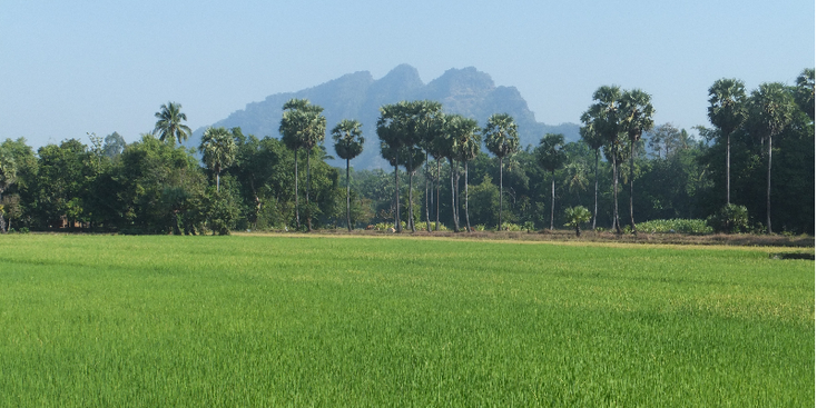 Hpa-An-rijstvelden-bergen-Myanmar