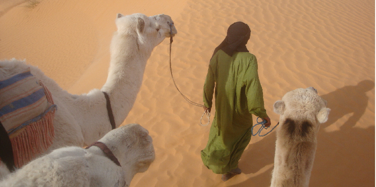 Ksar-Ghilane-Erg-Oriental-kamelen-Sahara-woestijn-oase