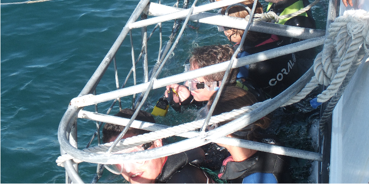 Shark-Cage-Diving-Ventures-Hermanus-South-Africa
