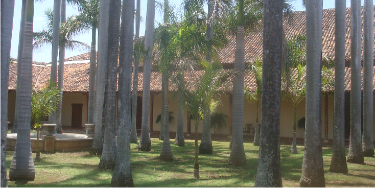 San-Fransisco-klooster-tuin-palmbomen-Nicaragua