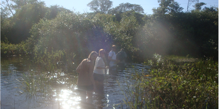 Pantanal-moeras-water-lopen-wandelen-Brazilië-Nationaal-Park-Jungle