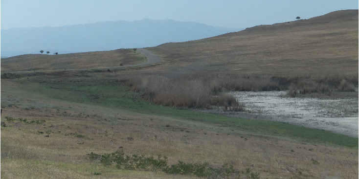 Udabno-zout-weg-Kakheti-Georgië