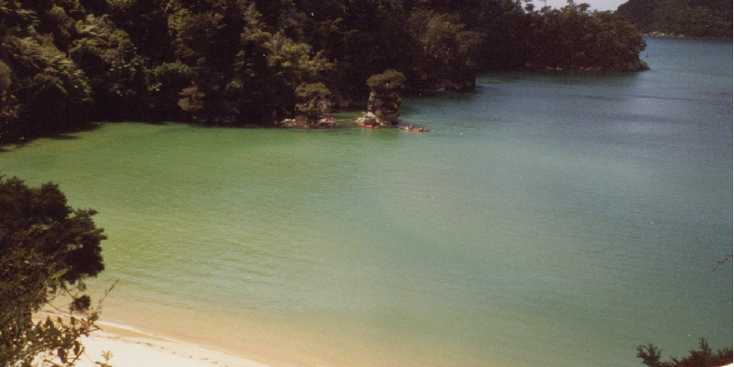 Abel-Tasman-nationaal-park-strand-Nieuw-Zeeland
